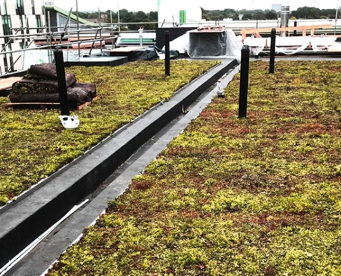 time for green roofs