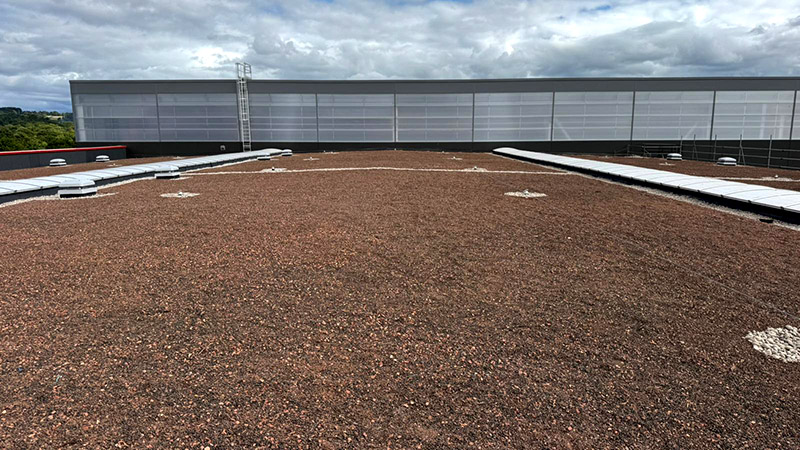 Biodiverse roof at Numatic factory