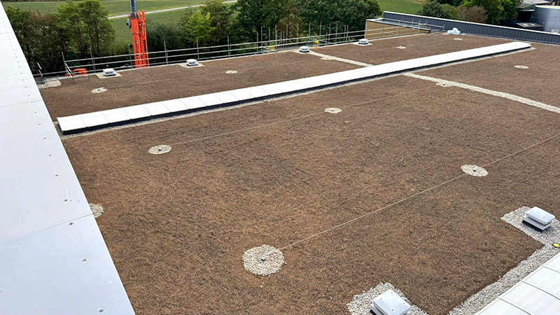 Work on Biodiverse roof at Numatic factory