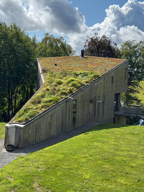 Green Sedum living Roof on Devons Green House