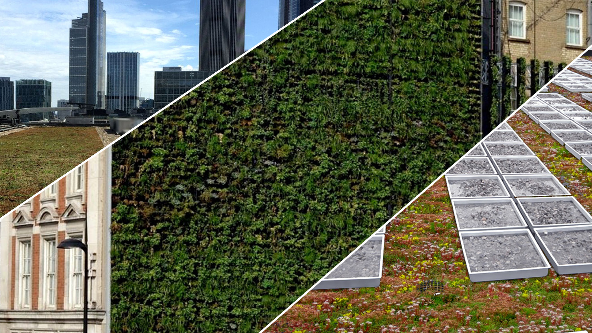 Urban greening projects 