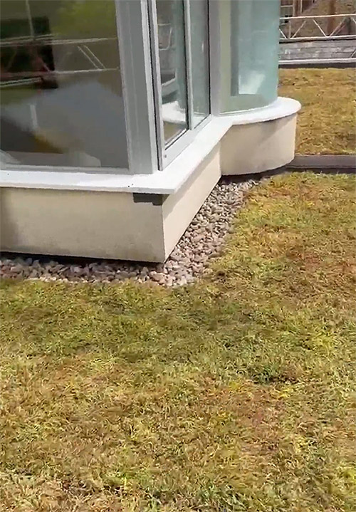 green roof installed bridport
