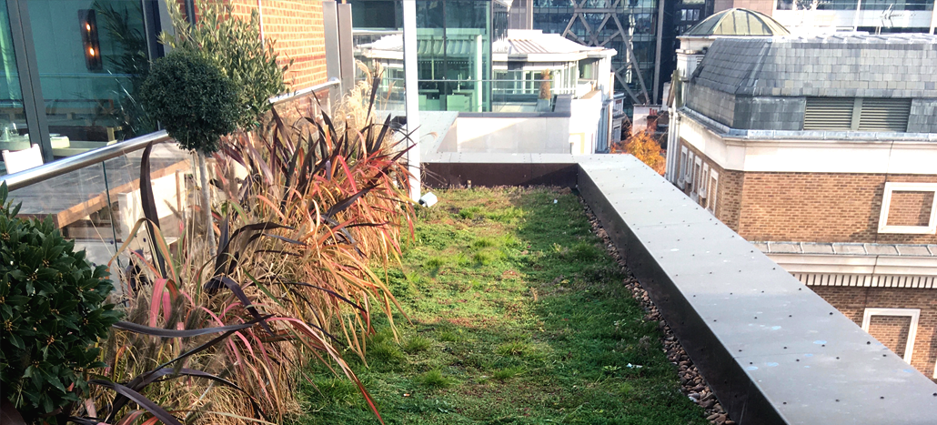 Green roofs remove microplastics