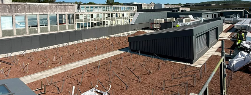 St Austell biosolar green living roof installation
