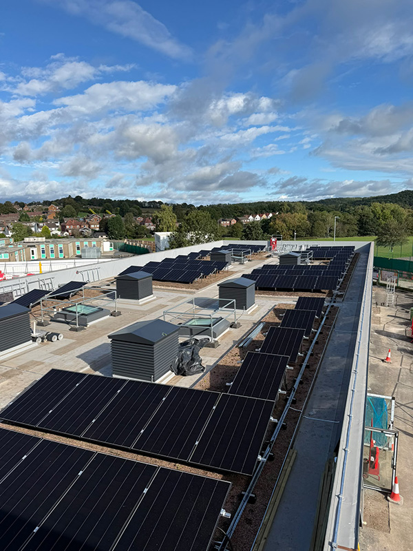 biodiverse roof at Brindley School