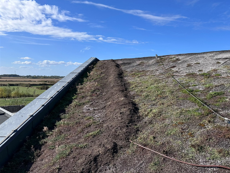 bierton crem green roof with soil ridge bierton crem green roof with soil ridge